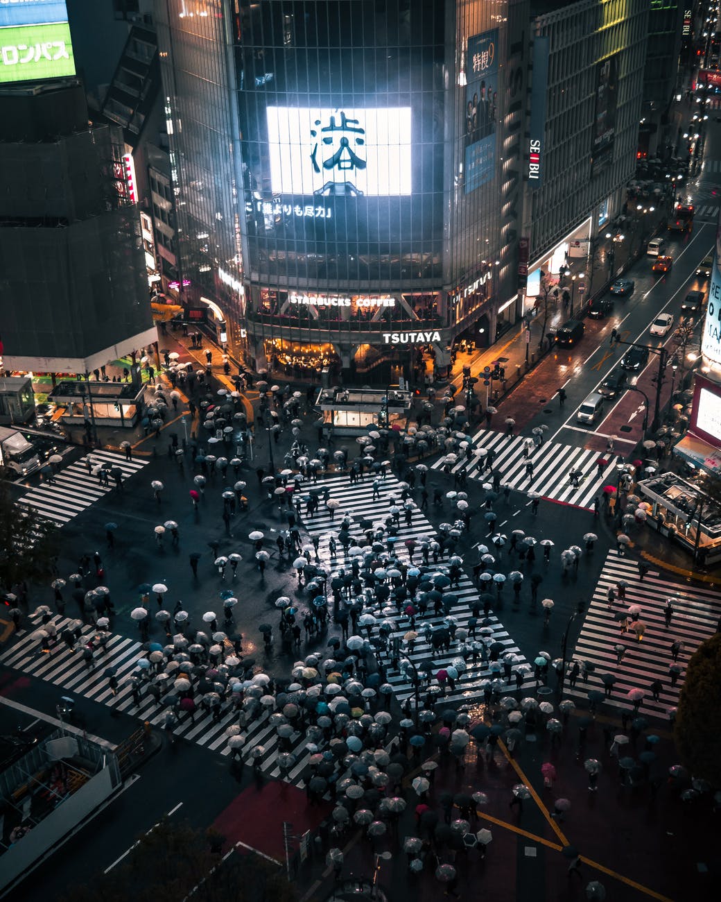 aerial photo of people walking on road